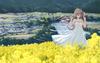 Kantoku Girl Landscape Painting Collection: The Path of Light