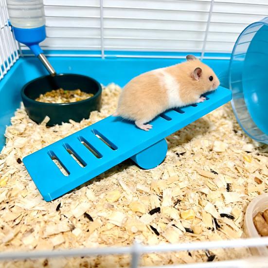Hamster Seesaw Toy Cage Decoration Boredom Relief Small Animals Chinchilla Gerbil Rat Mouse Seesaw Exercise Toy Pet Supplies