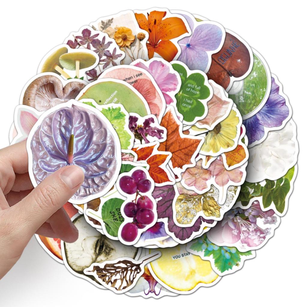 50 Sheets of Exquisite Plant Specimen Stickers: Colorful Leaves & Flowers for Journal and Tablet Decoration
