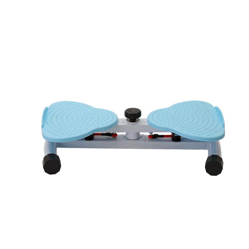 WEZHO Multi-functional Dual-Axis Rebound Waist Twister
