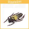 Insect Model Educational Kit With Wasps Ants Crickets For Nature Learning