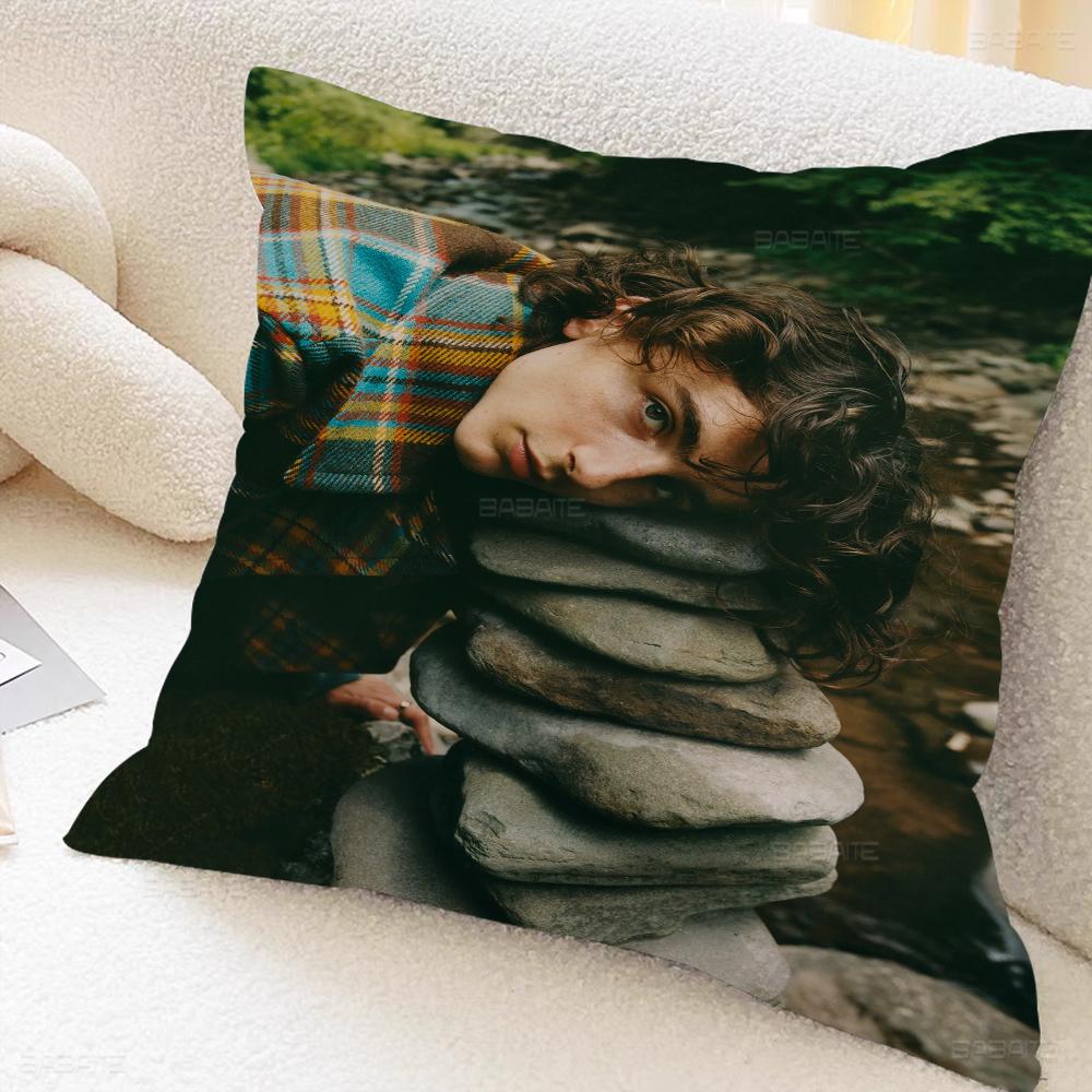 T-timothee C-chalamet Cushion Cover Pillowcase Upholstery Sofa Throw Pillow Home Decor Pillowcas