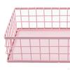 Desktop Iron Storage Basket, Metal Wire Fruit Basket,Multi Purpose for