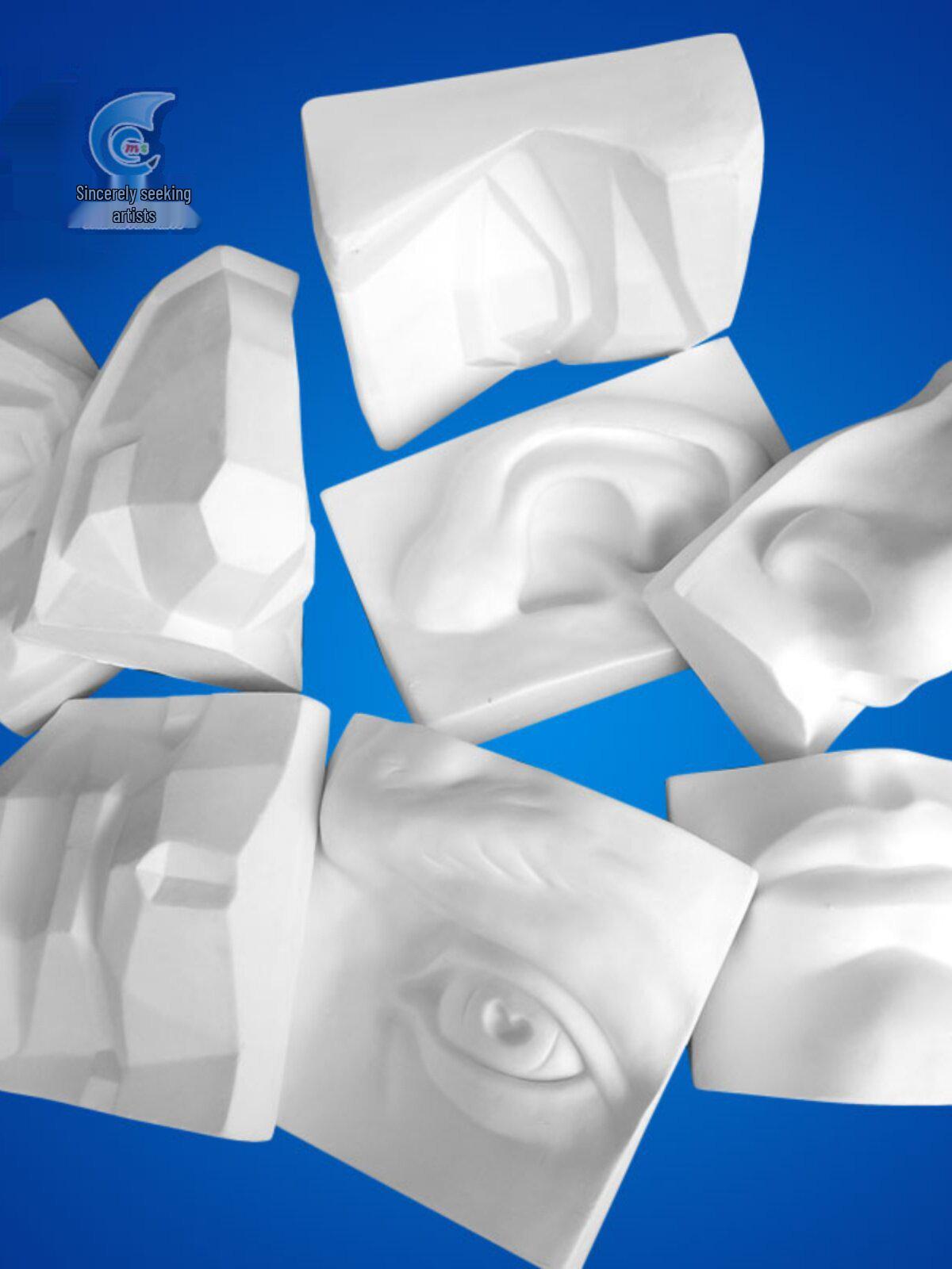 

Large Facial Structure Model: Nose and Ear Cross-Section Sculpture for Teaching No