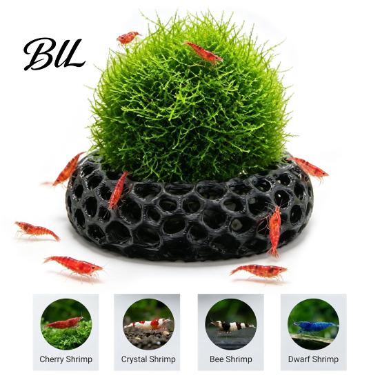 3D Printed Aquarium Cave 2Pcs Shrimp Caves for Plants, Round Hideouts, Cherry & Dwarf Habitat Hides Moss Ferns And Anubias, Tank Decoration Freshwater