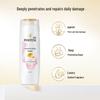 Pantene PRO-V Color & Perm Repair Shampoo 200g