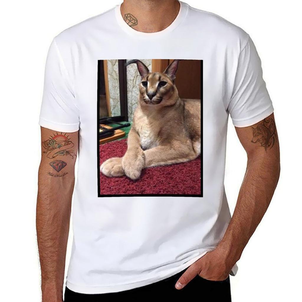 Big Floppa Tshirt Fitness Training Breathable Tee