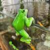 Frog Figurine Indoor Frog Sculpture Frog Figurine Flower Pot Vase Hugger Planter Hanging Resin Statue Sculpture Indoor