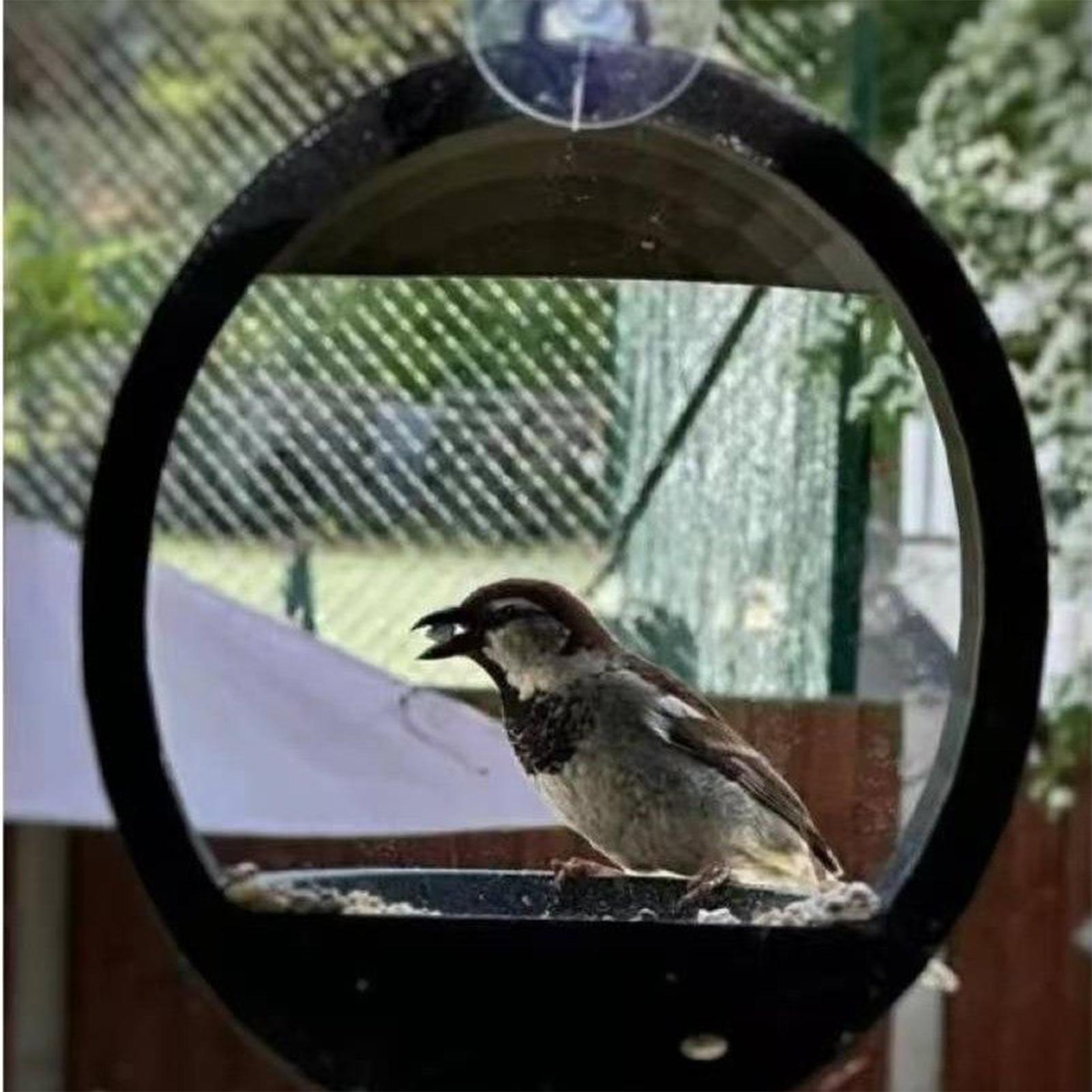 

Balcony Bird Feeder Strong Suction Cup Round Feeding Supplies Wild Bird Feeders For Food Water On Patio Watching Viewing Pet China Mainland