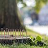 15Pcs Copper Nails Tree Stump Killers Stump Removal Spikes with 1 Drill Bit Nails for Slating Roofing Easy To Use