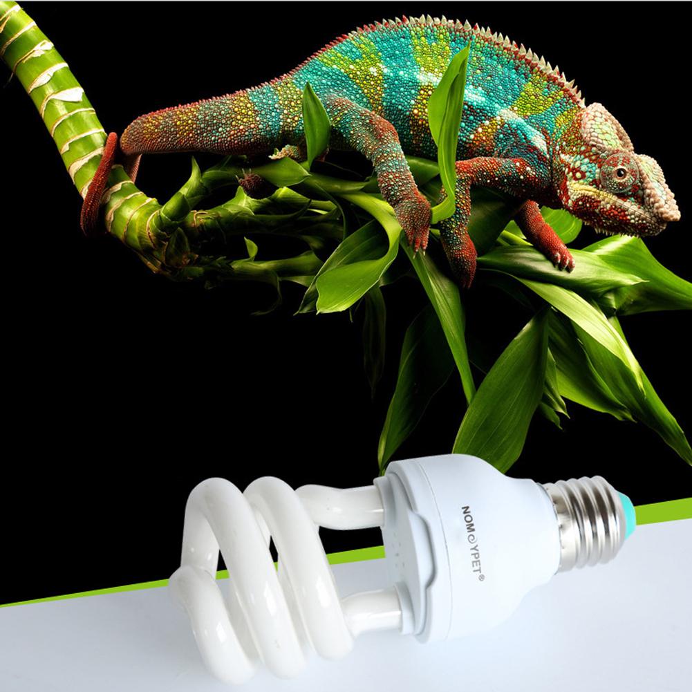 Supplementation Lamp Bulb Energy-saving Ultraviolet Lamp Bulb Portable  Lightweight Heating for Tropical Rain Forest Pets