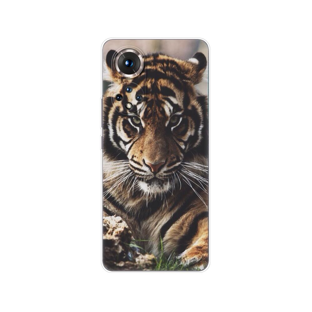 For Honor 50 Case For Honor 50 Pro Case Phone Back Cover On Huawei Nova 9 Pro Case Nova9 Honor50 50Pro Case Wolf Tiger Lion Bear