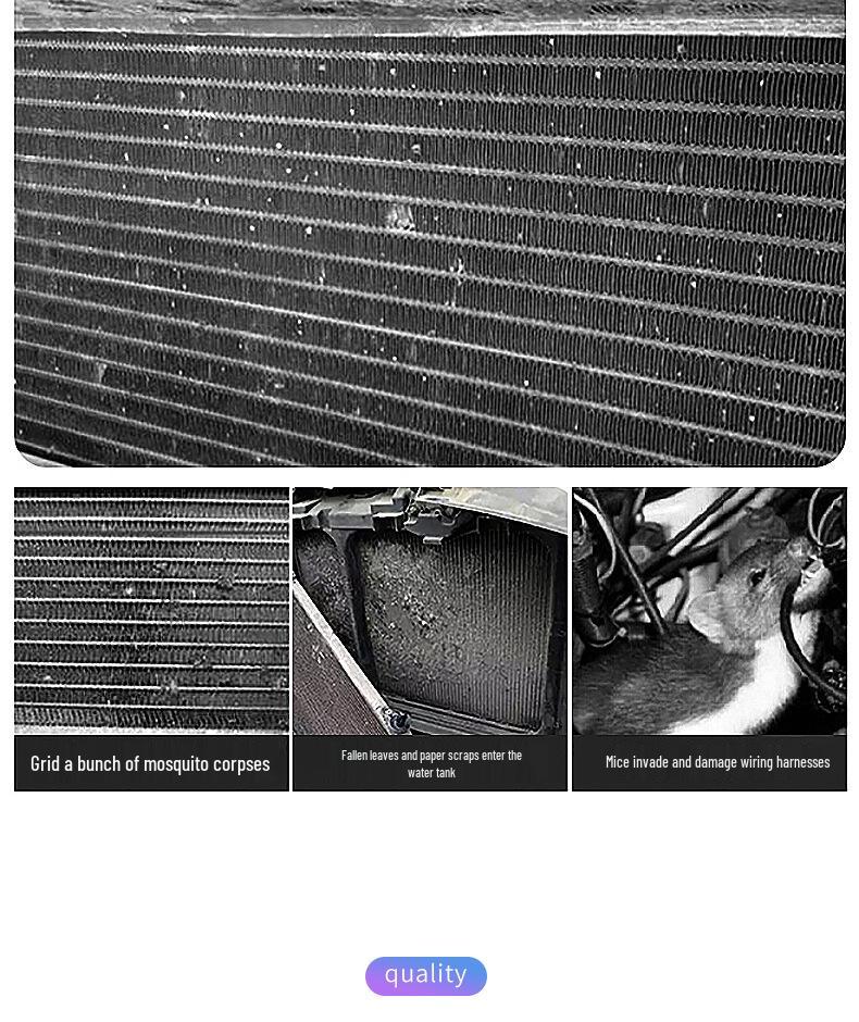 BYD Dolphin Front Grille Insect Protection Net with Buckle