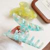 Acrylic Acetic Acid Hair Claw Elegant Women Hair Accessories Beach Gradient Shark Clip  Friends