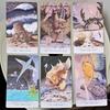 Tarot of Tides: The Adventures of A Duck Named Bob 12*7cm ―Unique 78-Card Tarot Deck In Rigid Box - Double-embossed Cardstock