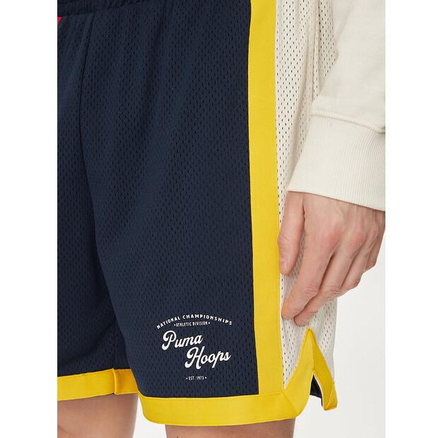 Спортивные шорты Puma Showtime