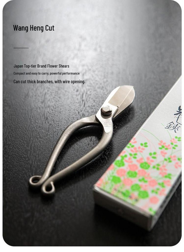 Ikenobo Florist Japanese-Chinese Composite Steel Shears: Gardening, Pruning, Carving, and Flower Arranging Scissors.