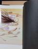 [USED] No.13 Genmu Palace Yoshitaka Amano