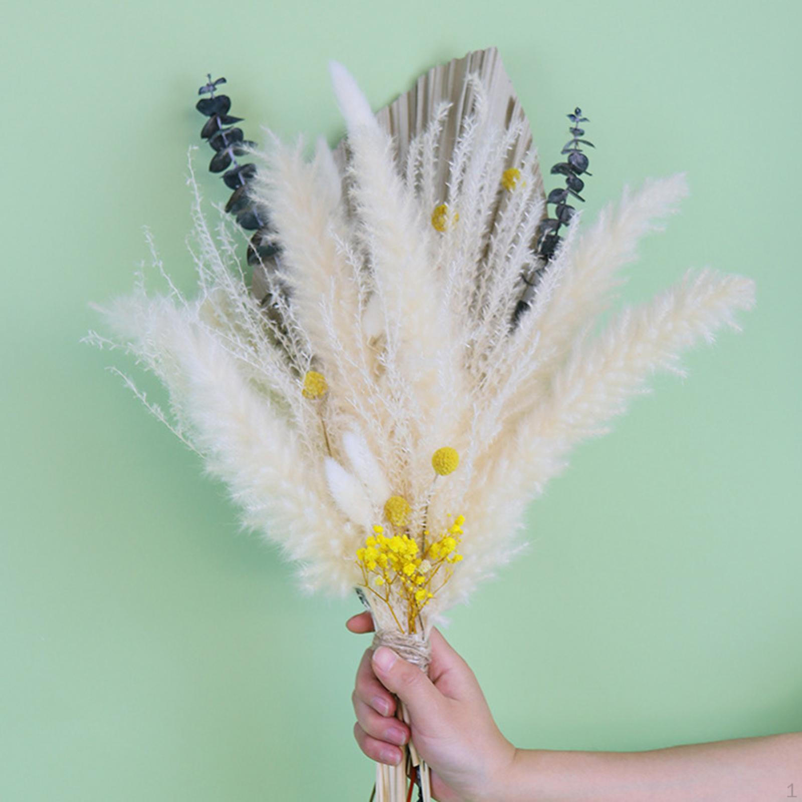 

Dried Reed Flower for Vase Home Wedding Living Room Photo Props Decoration