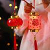 2025 Chinese New Year Lanterns Spring Festival Red Lanterns Pendants Decoration Traditional New Year Handheld Hanging Lantern