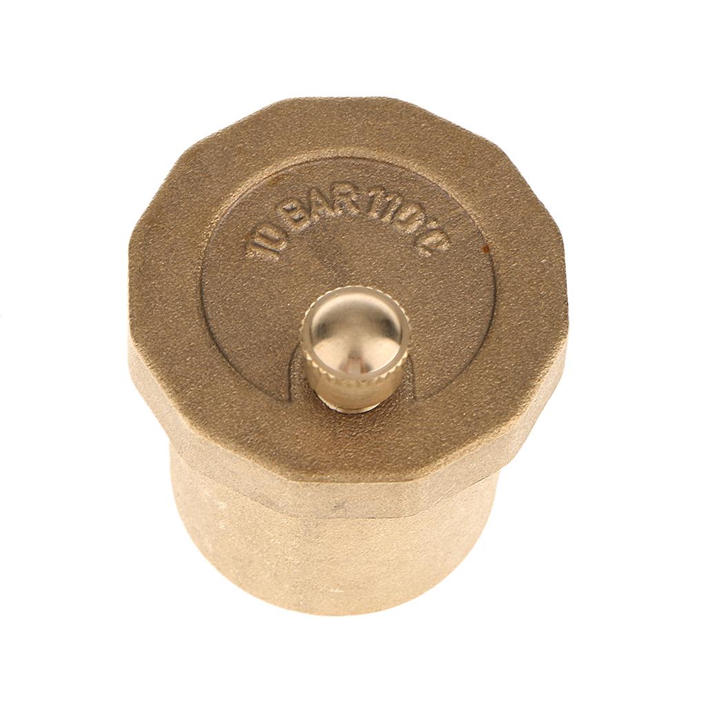 Brass Metal Automatic Auto Bottle Air Vent Compression Airvent Valve 1