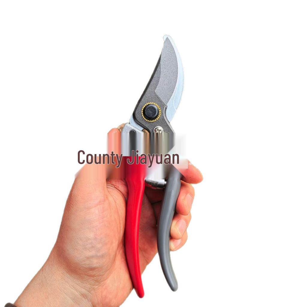 SK5 Steel Pruning Shears for Bonsai, Fruit, and Vegetables - Perfect for Gardening, Outdoor Use, and Fruit Tree Picking.