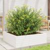 Plant Pot White 80x80x23 Cm Solid Pine Wood