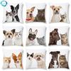 45X45Cm New Dog And Cat Co-Pattern Series Printed Peach Skin Pillowcase Custom Bedside Sofa Pillowcase