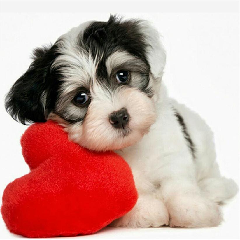 5D DIY Rhinestone Painting Diamond Cross-stitch Love Heart Dogs Embroidered Drawing Needlework Multicolor Stitchwork