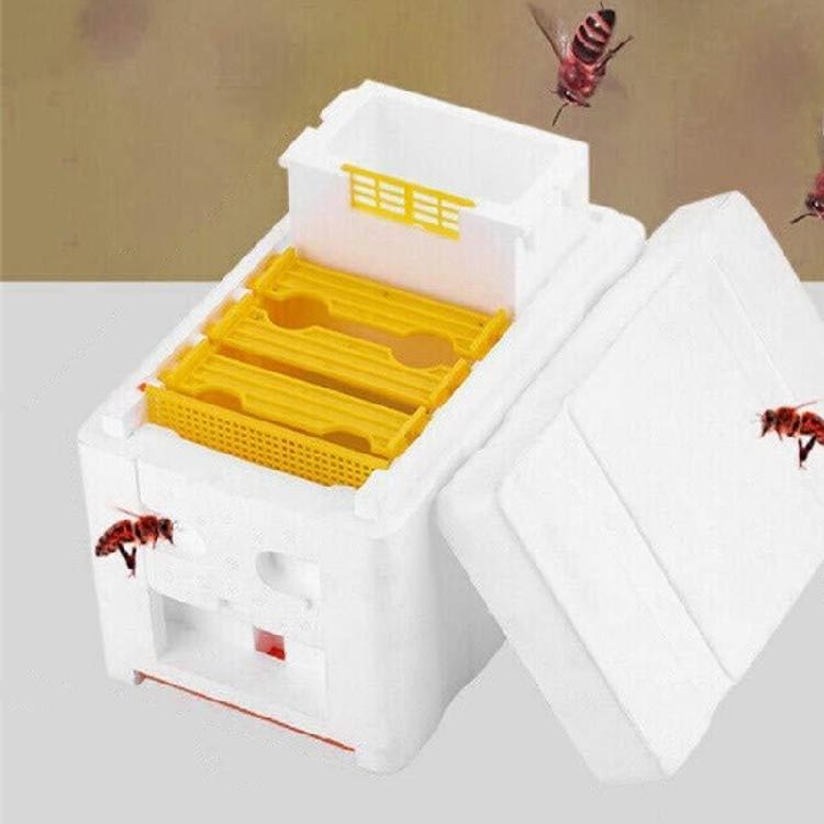 Foam Bees Box Versatile Bees Pollination Box Foam Bees Hive Queen Bees Rearing Bees hives Beekeeper Supplies Copulation