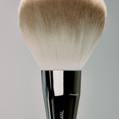 Easy Brush AA Finish Face 17