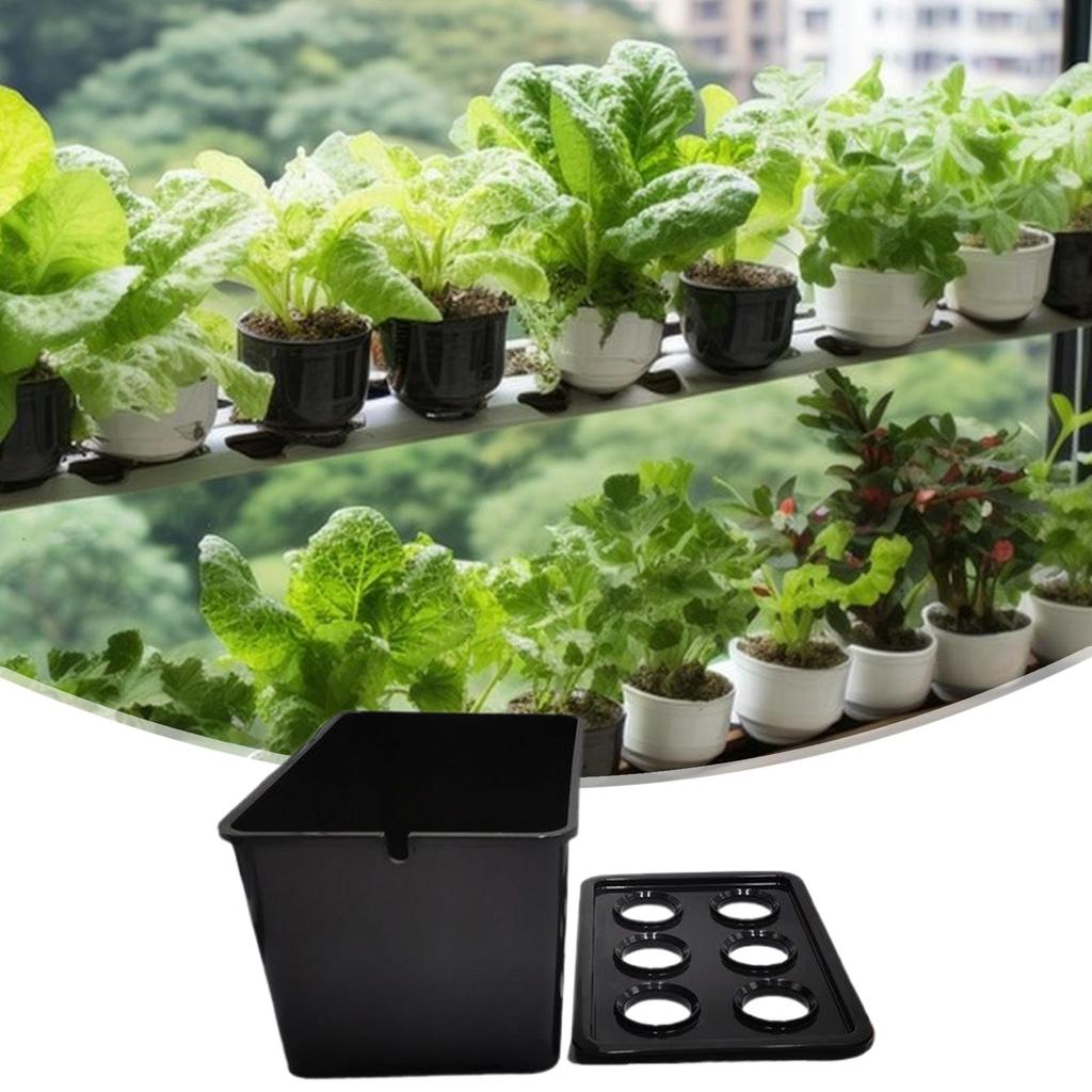 Hydroponics Growing System Kit 6-Holes Germination System Garden Cultivation Box For Vegetables Flowers Fruits Indoor Outdoor