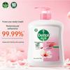 Dettol Antibacterial Hand Wash Family Pack