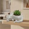 3D Printed Dragon Shaped Plant Pot Growing Pots Plastic Flower Container Funny Handmade Succulent Planter for Living Room