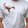 Scorpion White Kids Boys T-Shirt Insect Animal Tee Top - S S Kids Baby Sizes