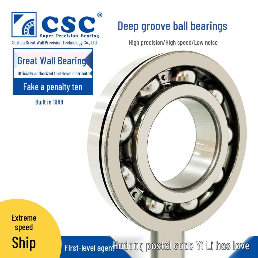 CSC High-Speed Deep Groove Ball Bearing ZZ (6200-6205, P6)