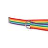 New Korean Version of Women's Double Ring D-buckle Colorful Webbing Casual Versatile Women's Super Long Summer Decorative Belt