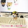 [LamPlanning] [Series-10] Traveling Mameshiba Keychain Mascot Ball Chain Bag Charm Cute Fluffy Dog Shiba Inu Mameshiba (Mori Motonari)