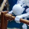 Yousheng Dynamic Skeleton Bubbler Aquarium Decoration Kinetic Skeleton Water Wheel Ornament Air-Driven Moving Skeleton Underwater Landscape Animated