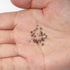 500pcs 1.5 2.0 2.5mm Tube Crimp End Beads Stopper Gold Copper Spacer Beads for Jewelry Making Findings DIY Supplies Necklace