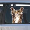 Funny Cat Animal Car Sticker Cartoon Waterproof Styling Automobiles Motorcycle Exterior Accessories Vinyl Decals Y211
