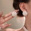 Silver needle flash zircon earrings, women's exquisite temperament stud earrings, spring and summer earrings.