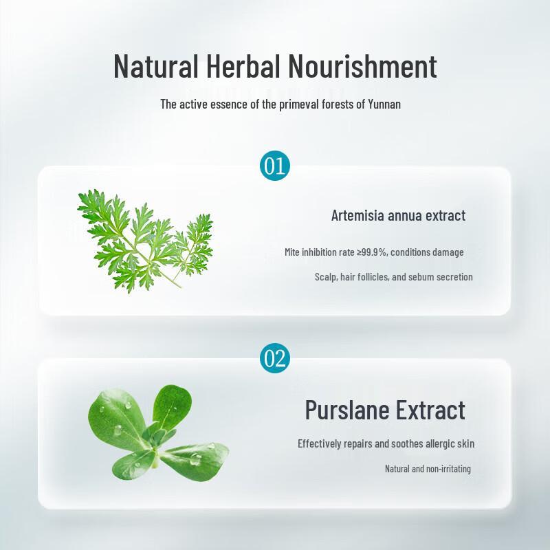 ConQUER Artemisia Annua Oil Control & Anti-Dandruff Shampoo