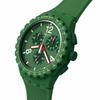 Swatch Wristwatch SUSG407 Green