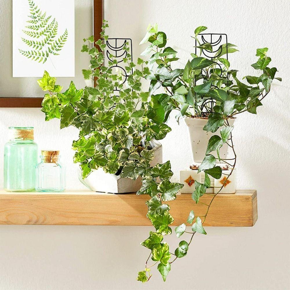 Durable Climbing Vine Frame Iron Flowerpot Bracket Garden Supplies Plant Stand  Flower Screen