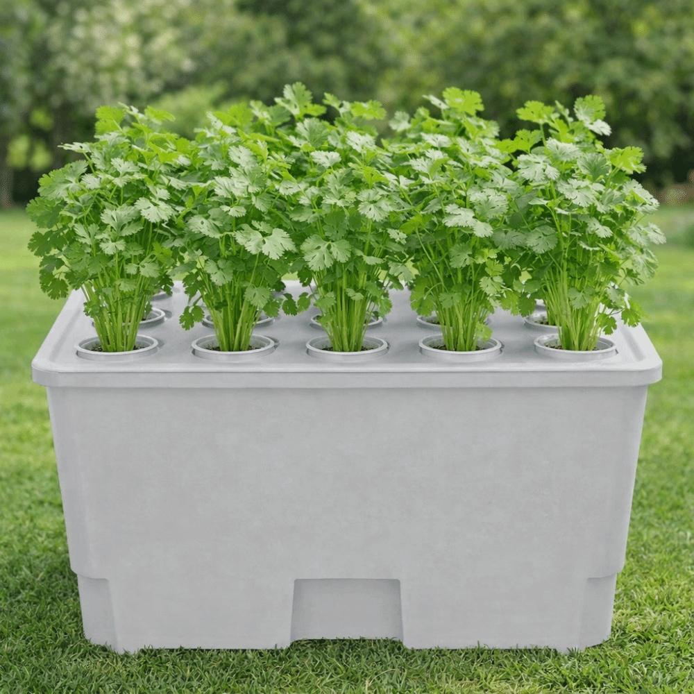 Thicken Hydroponic Box Plastic Planting Container Practical Germination Tray  Indoor Gardening
