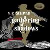 A Gathering of Shadows Collectors Edition by V. E. Schwab Hardback... 9781789091854