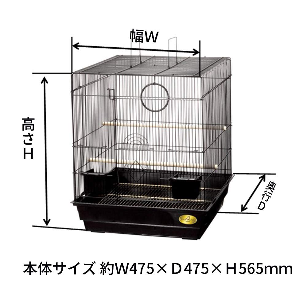 Minimal Land Bird Palace King for Small Birds