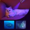 Haustier-Nagelknipser mit LED-Licht zur Beleuchtung der Nagelblutlinie Katzenkralle-Trimmer mit scharfer Klinge Haustier-Nagelschneider Pflege Werkzeug für Hund Katze Kaninchen Klein