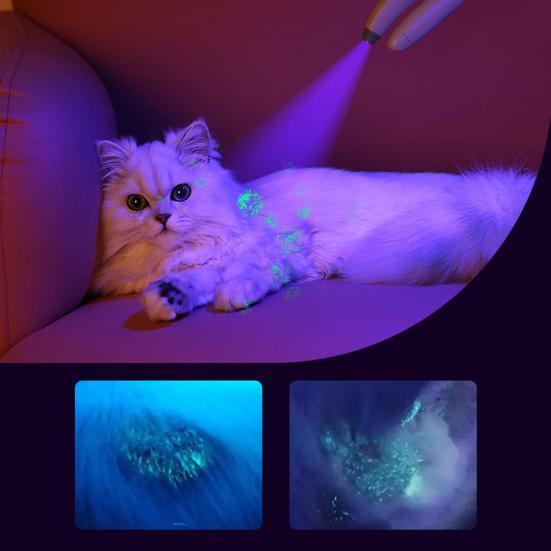 Haustier-Nagelknipser mit LED-Licht zur Beleuchtung der Nagelblutlinie Katzenkralle-Trimmer mit scharfer Klinge Haustier-Nagelschneider Pflege Werkzeug für Hund Katze Kaninchen Klein